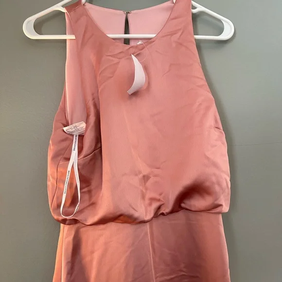 NWT Dressy Formal Blouson Gown Desert Rose Size 6 - Picture 5 of 7